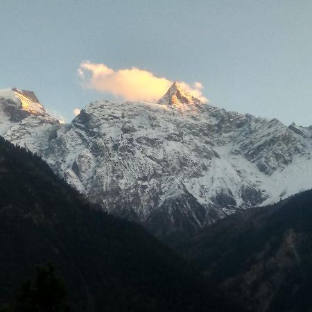 Wanderers Homestay -All Mountain Facing Rooms كالبا المظهر الخارجي الصورة