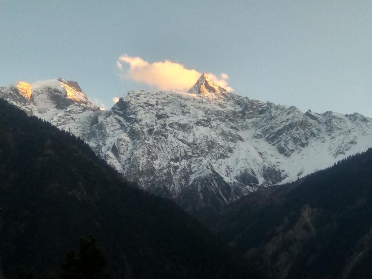 Wanderers Homestay -All Mountain Facing Rooms كالبا المظهر الخارجي الصورة