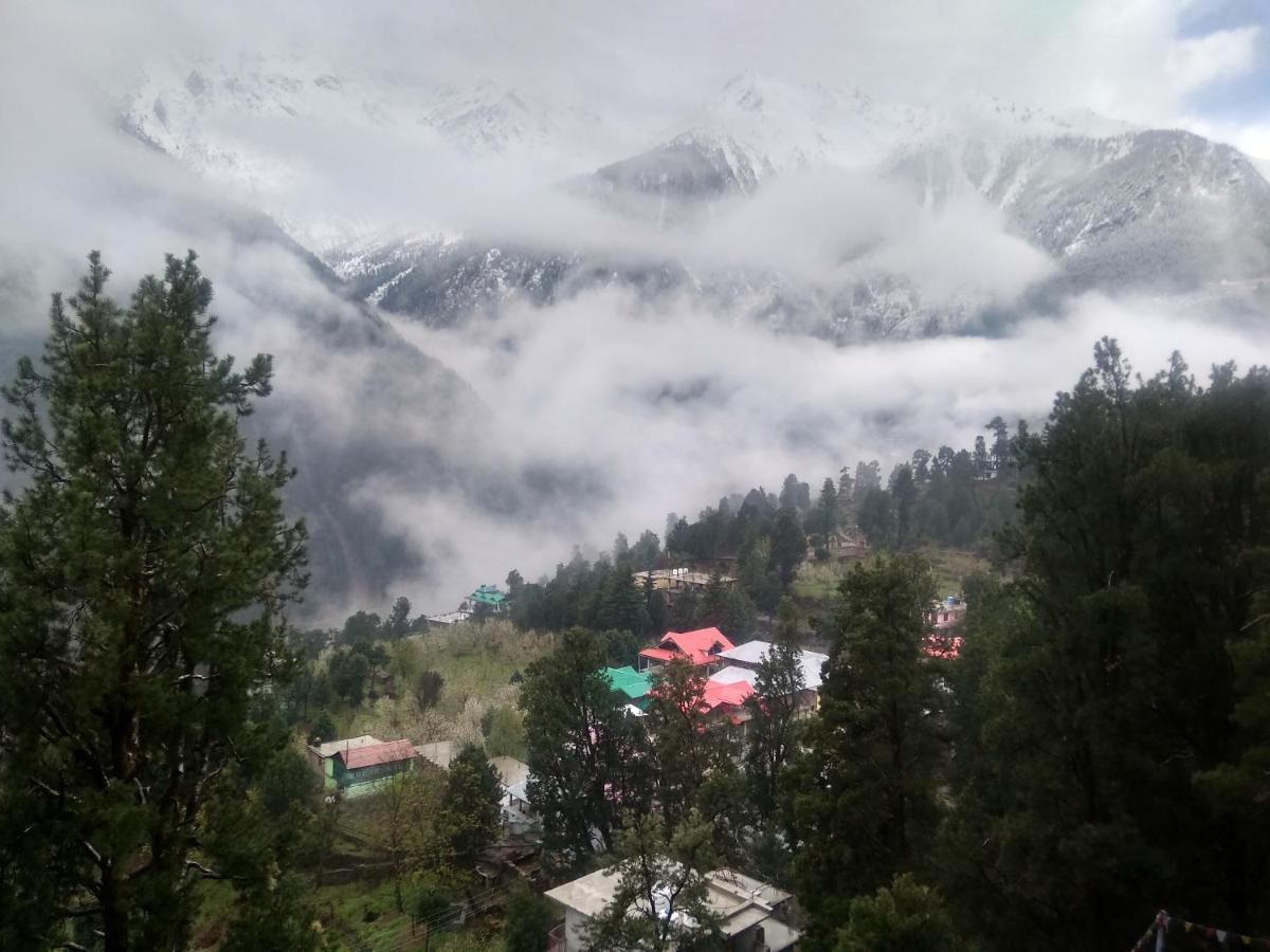 Wanderers Homestay -All Mountain Facing Rooms كالبا المظهر الخارجي الصورة