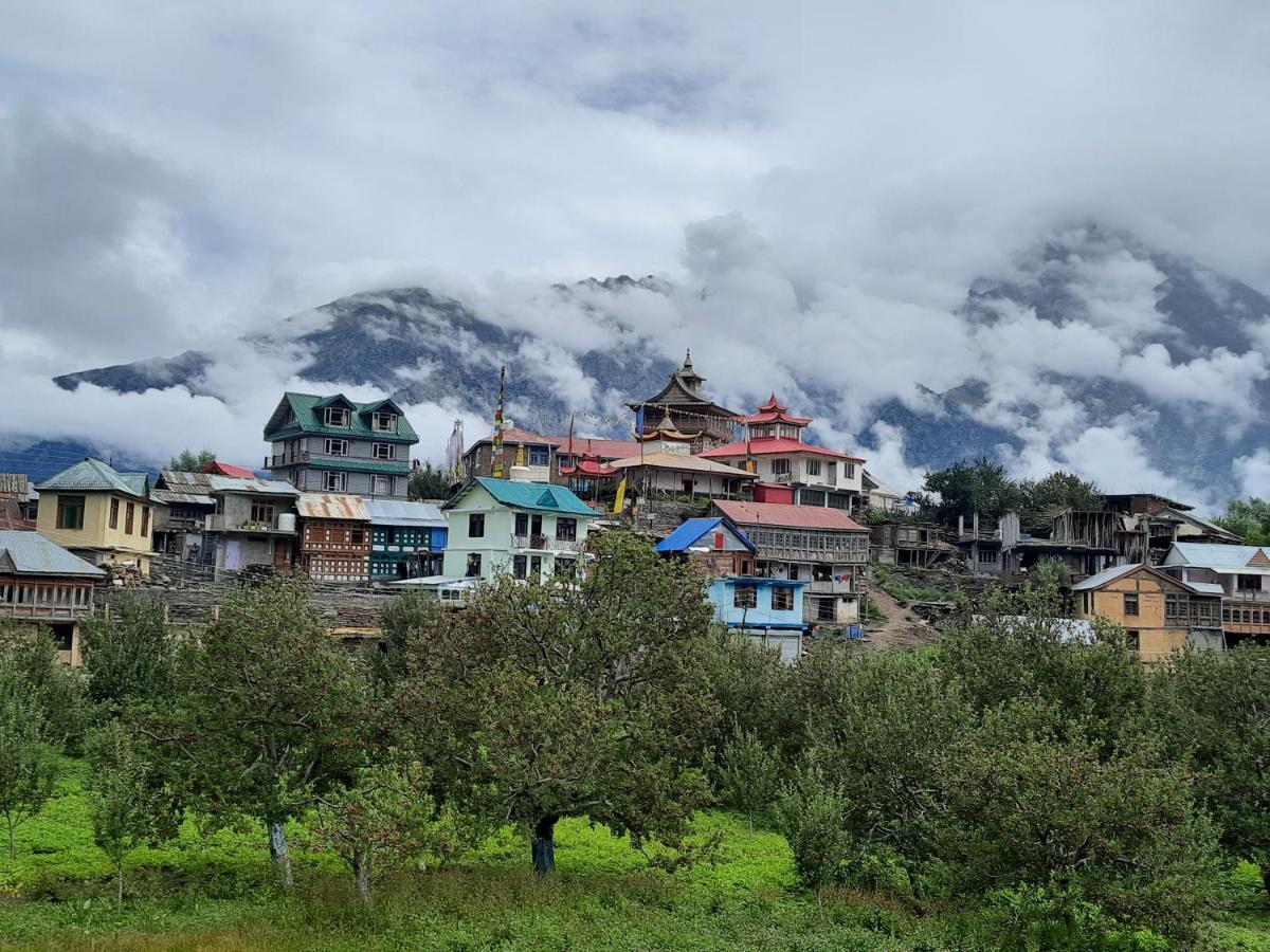 Wanderers Homestay -All Mountain Facing Rooms كالبا المظهر الخارجي الصورة