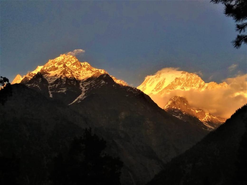 Wanderers Homestay -All Mountain Facing Rooms كالبا المظهر الخارجي الصورة